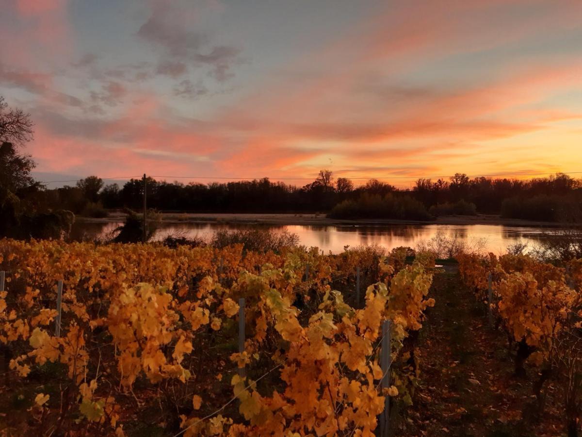 Aux Nids D'Hirondelles Appartamento Pouilly-sur-Loire Esterno foto